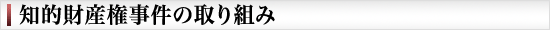 知的財産権事件の取り組み